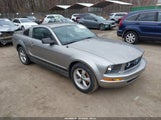 Ford Mustang V6 Deluxe/V6 Premium 1ZVHT80N785102931 fotografie