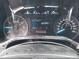 Ford F-150 Xlt 1FTFW1E59KKC80446 снимка