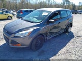 Ford Escape S 1FMCU0F77EUB39687 fotografie