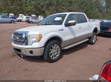 Ford F-150 Fx4/Harley-Davidson/King Ranch/Lariat/Platinum/Xl/Xlt 1FTFW1EV5AKB23785 fotografie