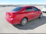 Toyota Corolla JTDBL40E59J048393 снимка