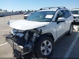 Toyota Rav4 Xle JTMW1RFV5KD507082 снимка