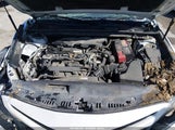 Toyota Camry Xse 4T1B61HK1KU811736 снимка
