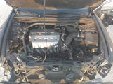 Acura Tsx JH4CU266X9C016516 снимка