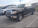 Ford F-150 Xlt 1FTFW1ET9DKG18106 снимка