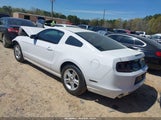 Ford Mustang V6 1ZVBP8AM8E5253563 снимка