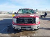 Ford F-150 Fx4/King Ranch/Lariat/Platinum/Xl/Xlt 1FTPW14V09KB90117 photo