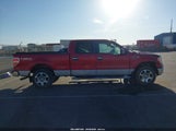 Ford F-150 Fx4/King Ranch/Lariat/Platinum/Xl/Xlt 1FTPW14V09KB90117 снимка