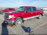 Ford F-150 Fx4/King Ranch/Lariat/Platinum/Xl/Xlt 1FTPW14V09KB90117 снимка