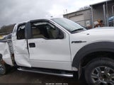 Ford F-150 Fx2 Sport/Lariat/Xl/Xlt 1FTFX1CV4AFD31066 снимка