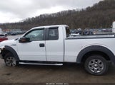 Ford F-150 Fx2 Sport/Lariat/Xl/Xlt 1FTFX1CV4AFD31066 fotografie