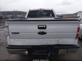 Ford F-150 Fx2 Sport/Lariat/Xl/Xlt 1FTFX1CV4AFD31066 fotografie