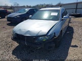 Acura Tsx JH4CL96978C016946 снимка