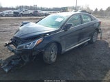 Hyundai Sonata Sport 5NPE34AF4GH329451 photo