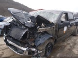 Ford F-150 Xlt 1FTFW1EF3FFC99906 снимка