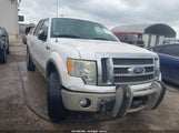 Ford F-150 Fx4/Harley-Davidson/King Ranch/Lariat/Platinum/Xl/Xlt 1FTFW1EVXAKE42731 photo