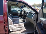 Ford F-150 Fx4/King Ranch/Lariat/Platinum/Xl/Xlt 1FTPW14V99FA00730 photo