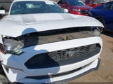 Ford Mustang Ecoboost Fastback 1FA6P8TH3L5159923 снимка
