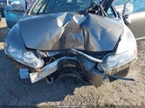 Honda Civic Lx 2HGFA16597H305231 снимка