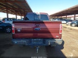 Ford F-150 Fx4/Harley-Davidson/King Ranch/Lariat/Platinum/Xl/Xlt 1FTFW1EV7AFA30825 fotografie