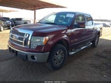 Ford F-150 Fx4/Harley-Davidson/King Ranch/Lariat/Platinum/Xl/Xlt 1FTFW1EV7AFA30825 снимка