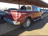 Ford F-150 Fx4/Harley-Davidson/King Ranch/Lariat/Platinum/Xl/Xlt 1FTFW1EV7AFA30825 fotografie