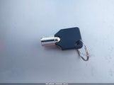 Miniaturka zdjęcia 11