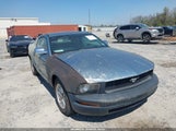 Ford Mustang V6 Deluxe/V6 Premium 1ZVFT80N075228909 снимка
