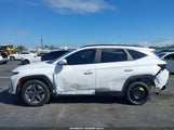 Hyundai Tucson Sel Convenience 5NMJC3DE7SH454493 снимка