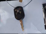Miniaturka zdjęcia 11