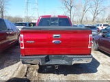 Ford F-150 Xlt 1FTFW1ET3EKF52024 снимка