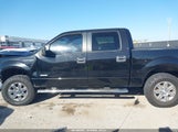 Ford F-150 Xlt 1FTFW1ET5DKD45133 снимка
