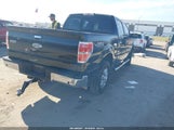 Ford F-150 Xlt 1FTFW1ET5DKD45133 снимка