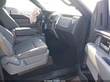Ford F-150 Xlt 1FTFW1ET5DKD45133 снимка