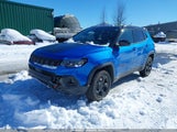 Jeep Compass Trailhawk 4X4 3C4NJDDN8PT545828 снимка