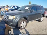 Ford Escape Xlt 1FMCU03779KA19801 снимка