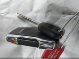 Miniaturka zdjęcia 11