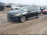 Hyundai Sonata Sport 5NPE34AF8GH364512 photo