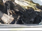 Kia Optima Lx 5XXGM4A75DG208594 снимка