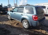 Ford Escape Xlt 1FMCU0D76BKB45152 fotografie
