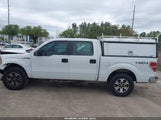 Ford F-150 Xl 1FTFW1EFXDKE14229 photo
