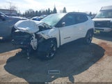 Jeep Compass Trailhawk 4X4 3C4NJDDB9JT163496 снимка