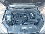 Miniaturka zdjęcia 10