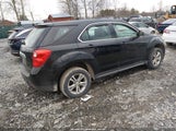 Chevrolet Equinox Ls 2GNALBEC4B1238894 fotografie