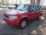 Ford Escape Limited 1FMYU94116KA83929 снимка
