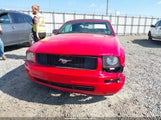 Ford Mustang V6/V6 Premium 1ZVHT84NX95108198 fotografie