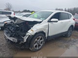 Miniaturka zdjęcia 2