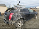 Cadillac Srx Premium Collection 3GYFNFEY5BS674826 снимка