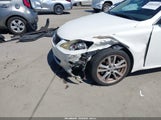 Miniaturka zdjęcia 6