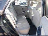Miniaturka zdjęcia 8
